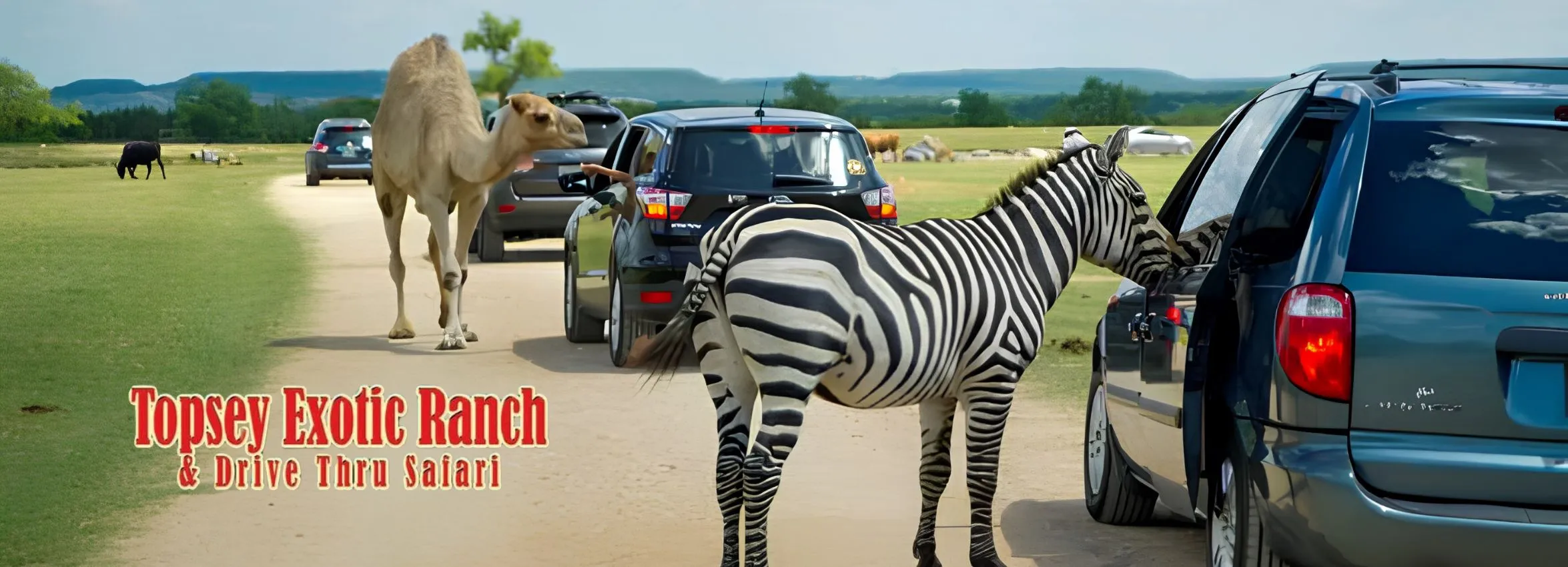 Topsey-Exoctic-Ranch_Desktop_ET