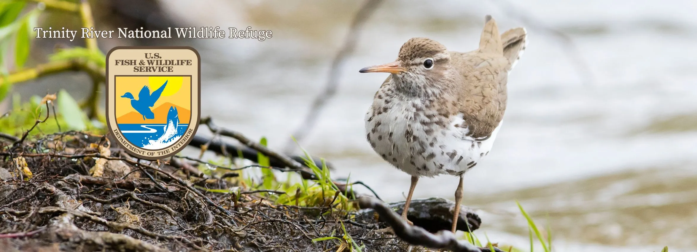 Trinity-River-National-Wildlife-Refuge_Desktop_ET