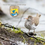 Trinity-River-National-Wildlife-Refuge_Mobile_ET