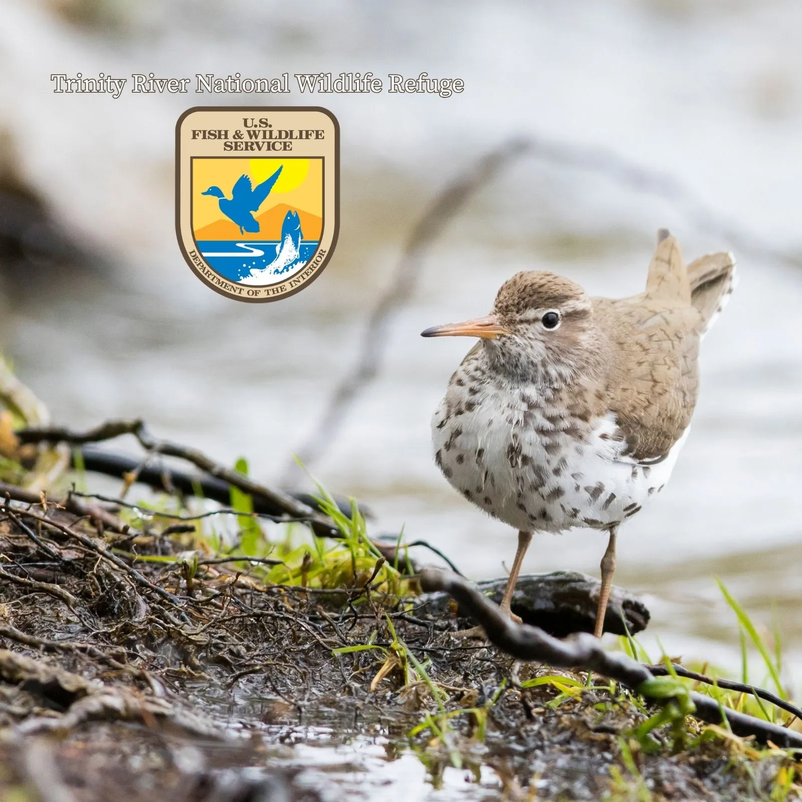 Trinity-River-National-Wildlife-Refuge_Mobile_ET