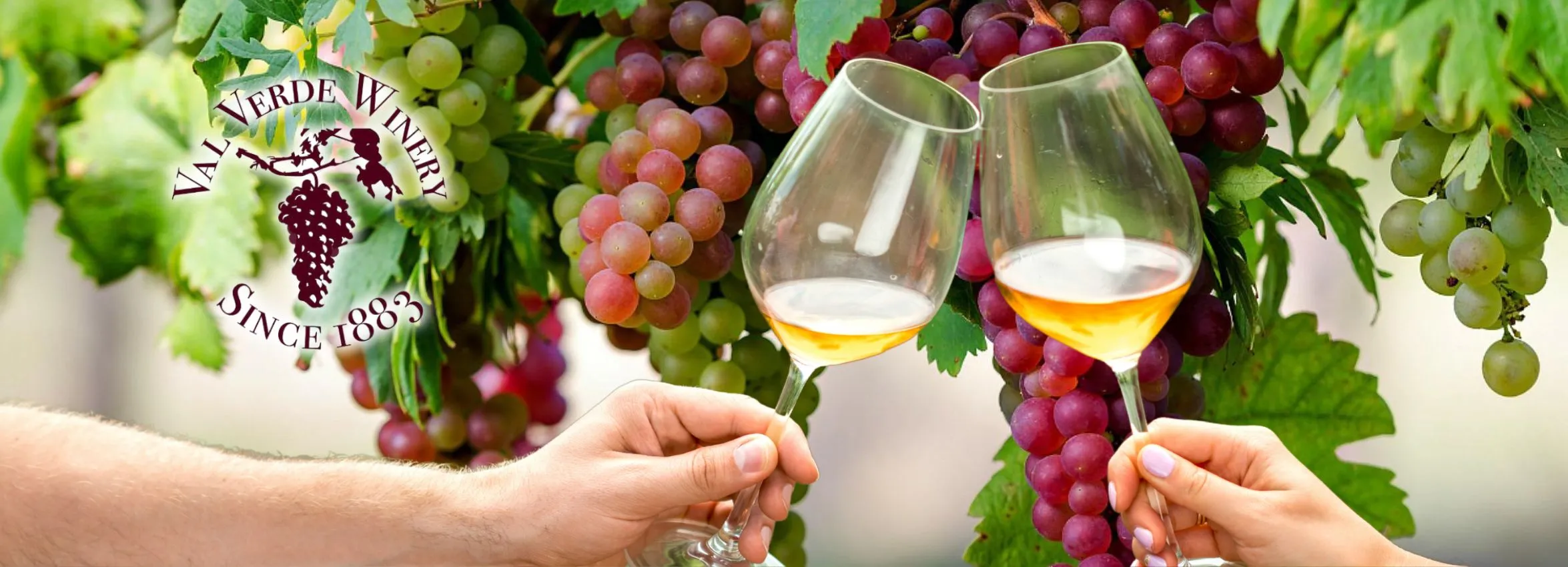 Val-Verde-Winery_Desktop_ET