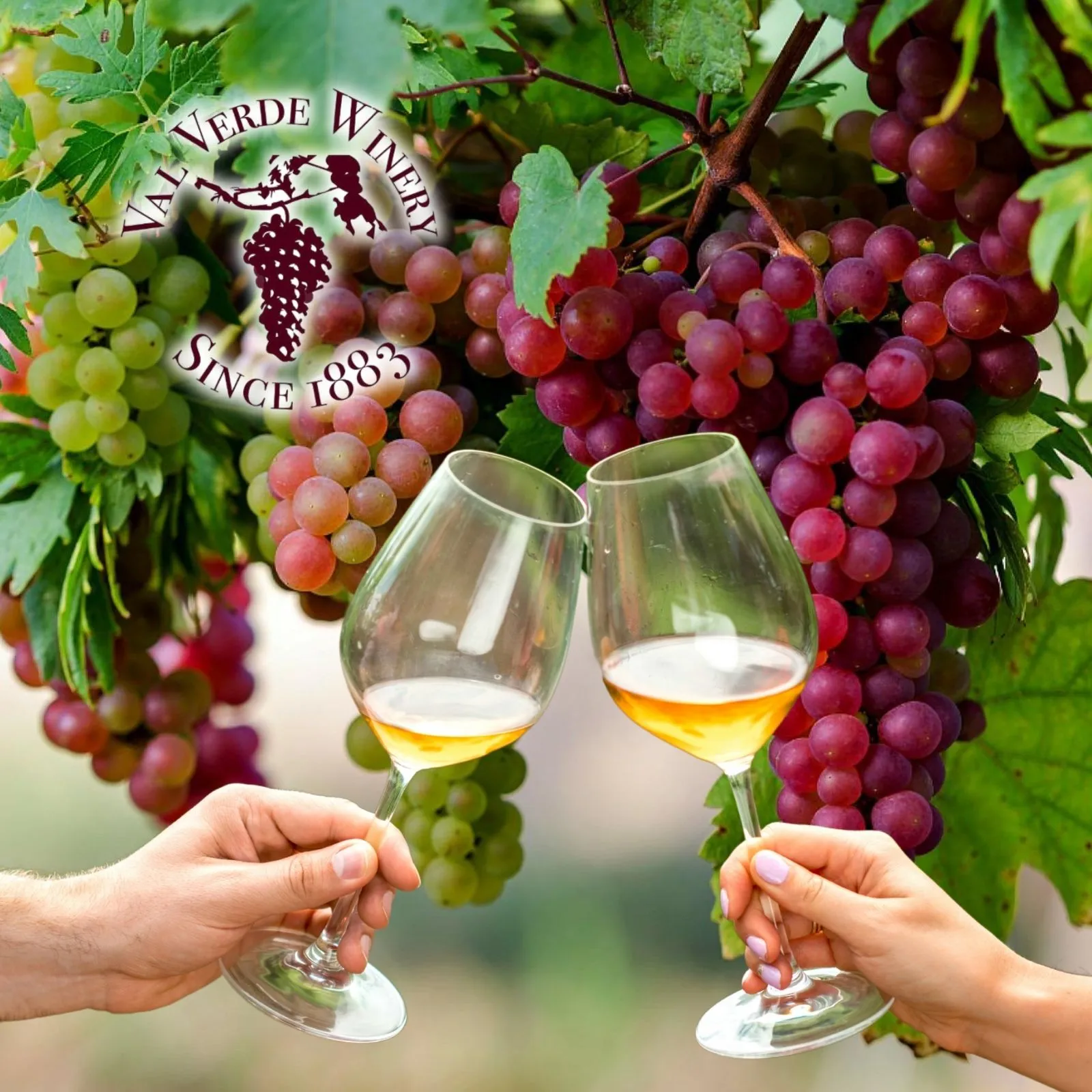 Val-Verde-Winery_Mobile_ET