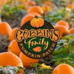 Cobbins-Family-Pumpkin-Patch_Desktop_ET