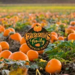 Cobbins-Family-Pumpkin-Patch_Mobile_ET