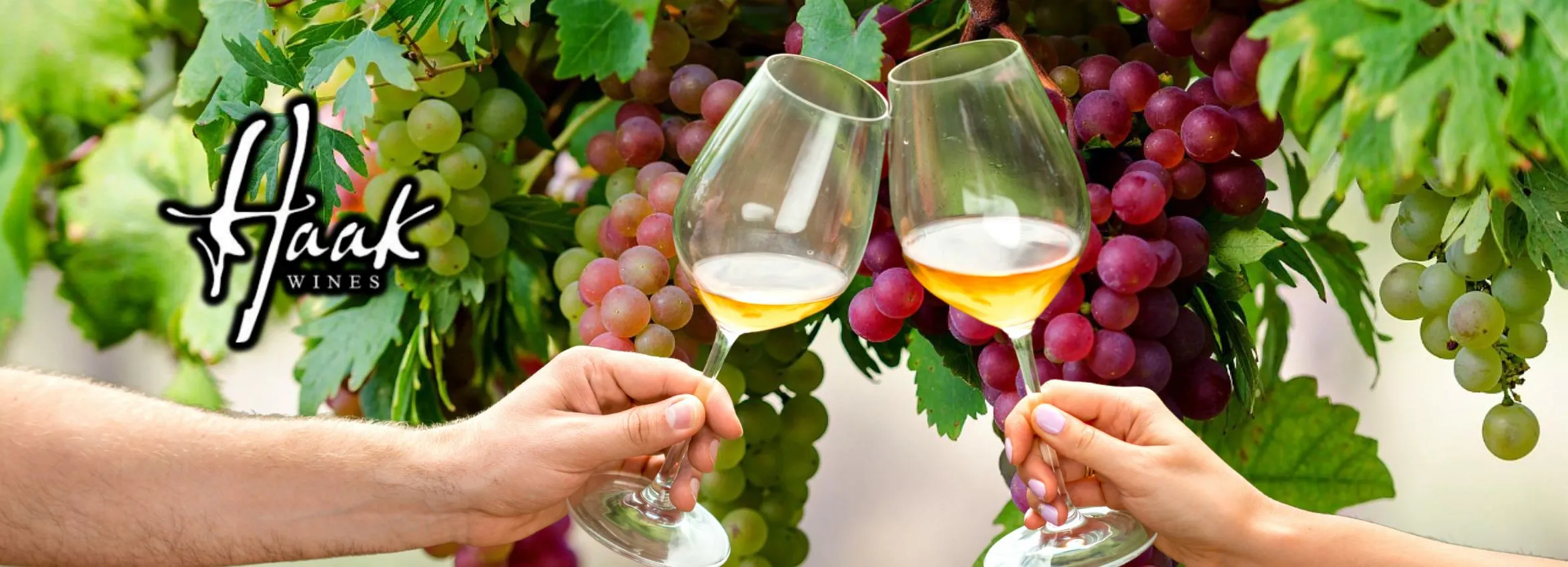 Haak-Vineyards-_-Winery_Desktop_ET