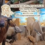 Harber-Wildlife-Museum_Desktop_ET