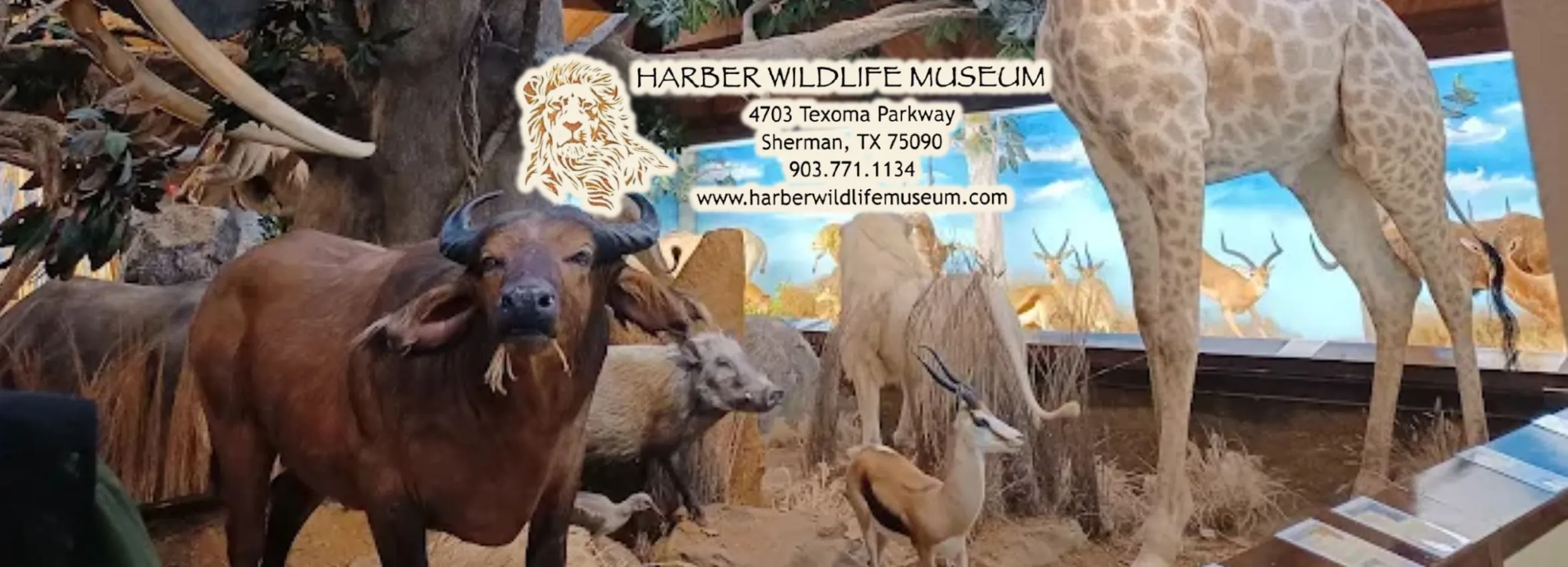 Harber-Wildlife-Museum_Desktop_ET