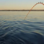 Lt-Dans-Crappie-Co_Desktop_ET