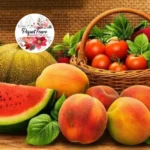 Piquet-Fence-Marketplace_Mobile_ET
