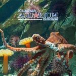 San-Antonio-Aquarium_Mobile_ET
