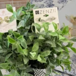 Studio-K-Home-Decor-_-Vintage-Gifts_Desktop_ET