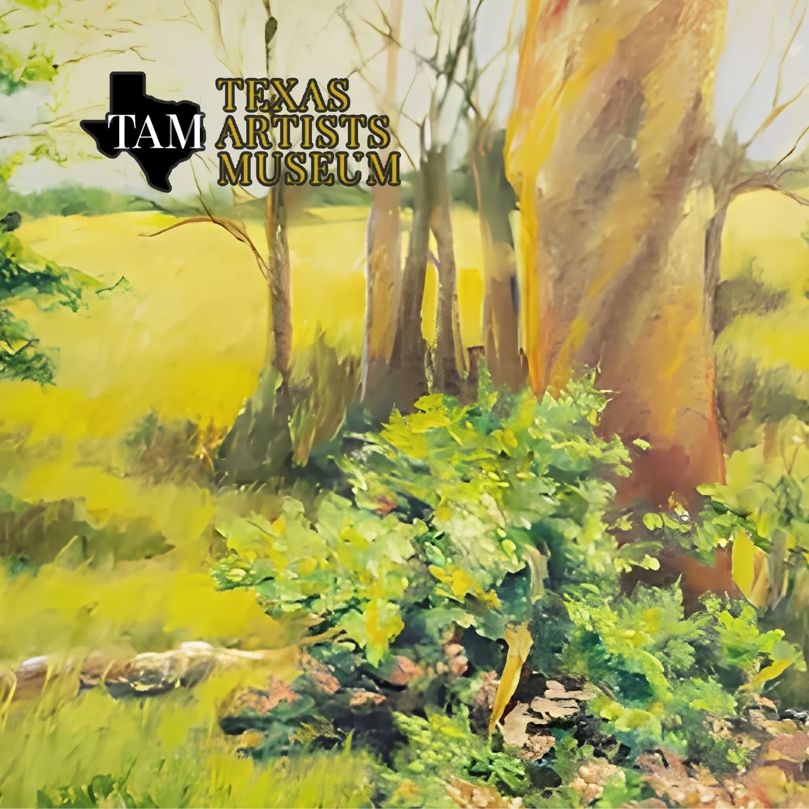 Texas-Artists-Museum_Mobile_ET