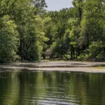 Town-Lake-Park_Desktop_ET