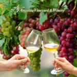 Angelita-Vineyard-and-Winery_Mobile_ET