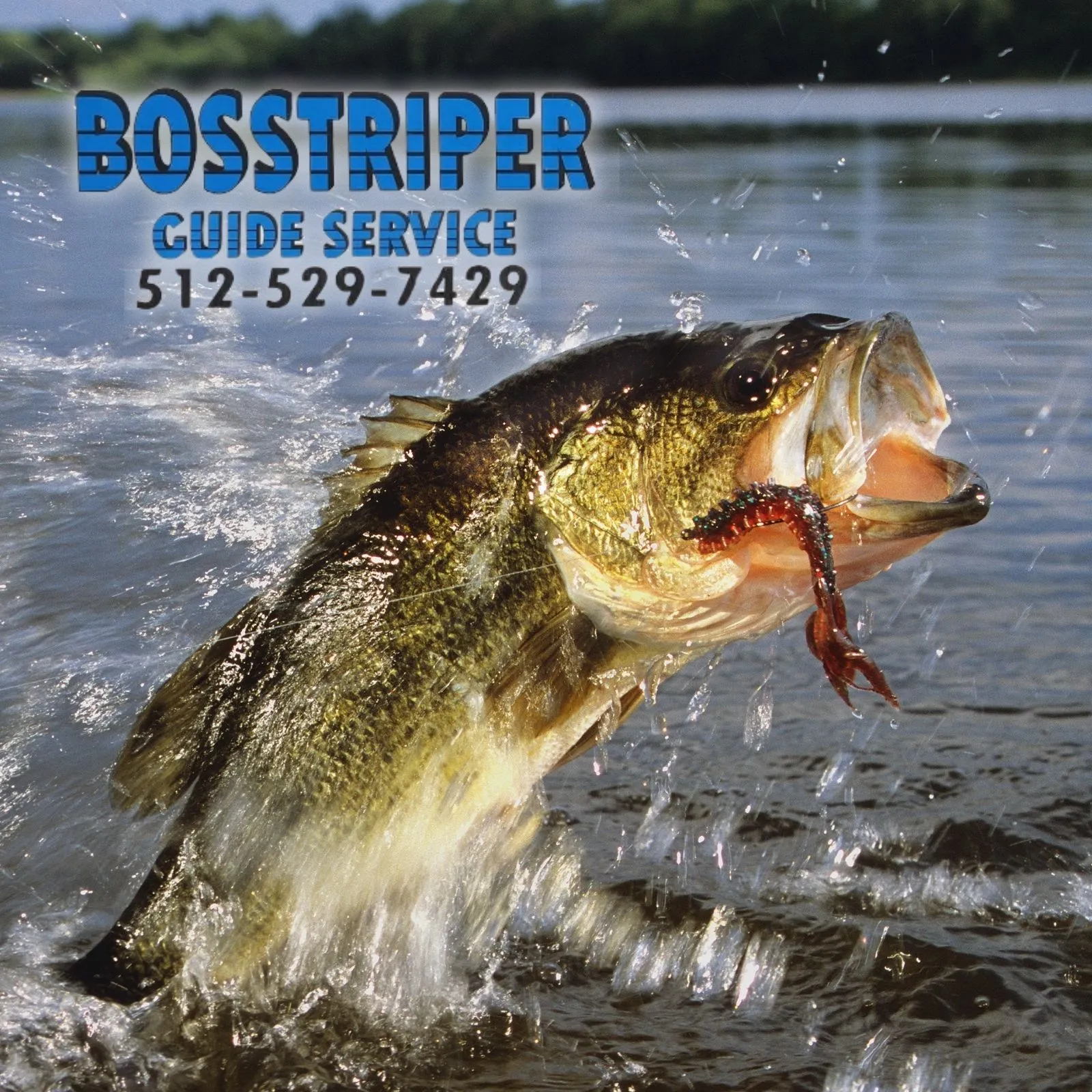 Bosstripper_Mobile_ET