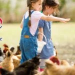 D-and-L-Farm-and-Ranch_Desktop_ET