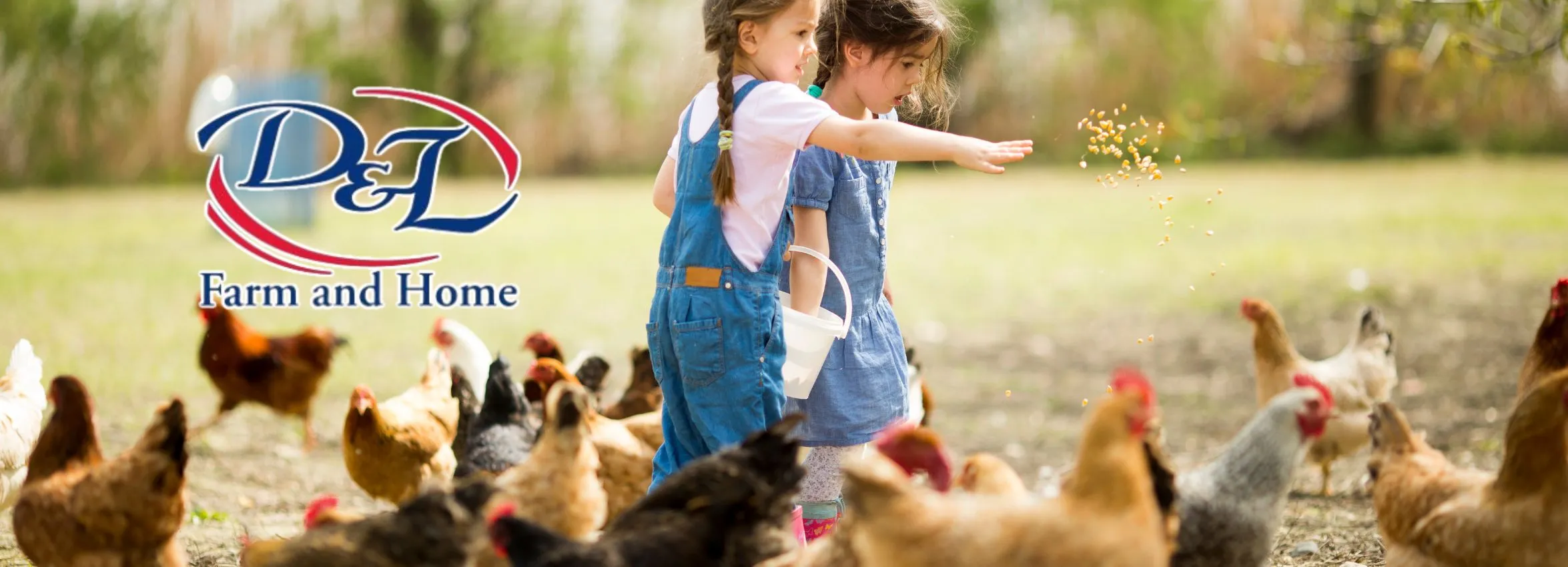 D-and-L-Farm-and-Ranch_Desktop_ET