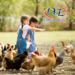 D-and-L-Farm-and-Ranch_Mobile_ET