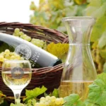 Fortunata-Winery_Desktop_ET-_1_