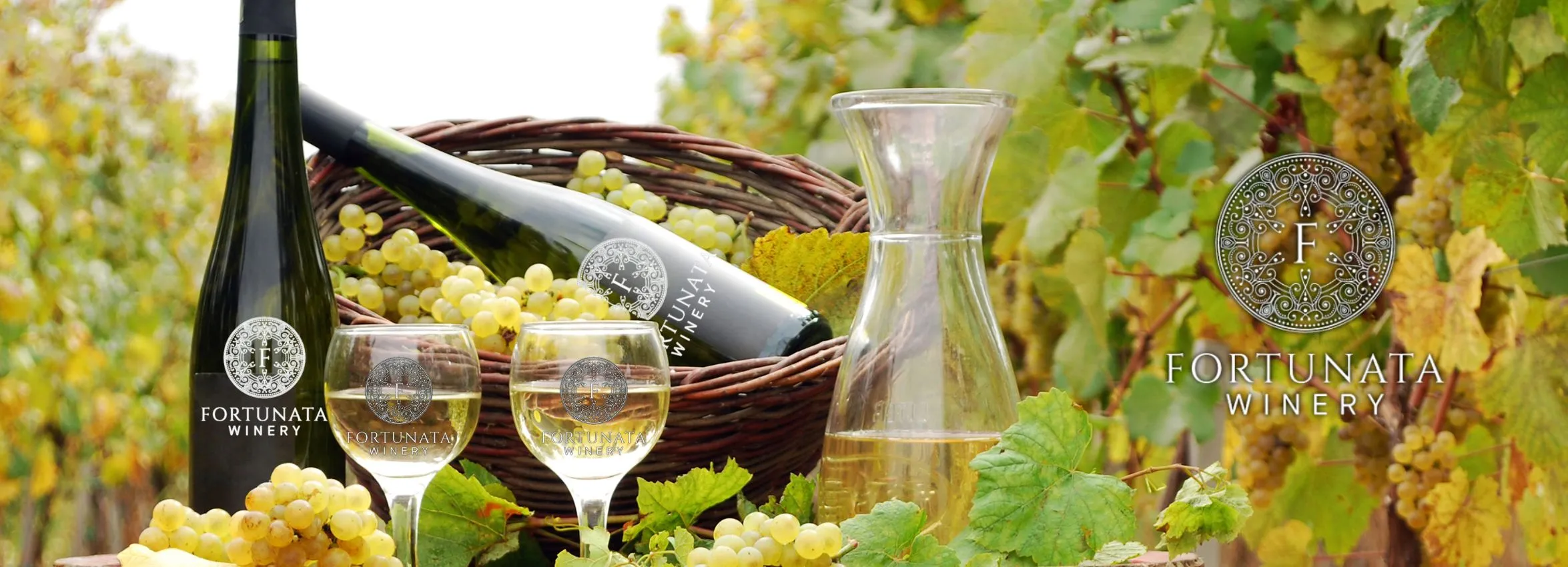 Fortunata-Winery_Desktop_ET-_1_