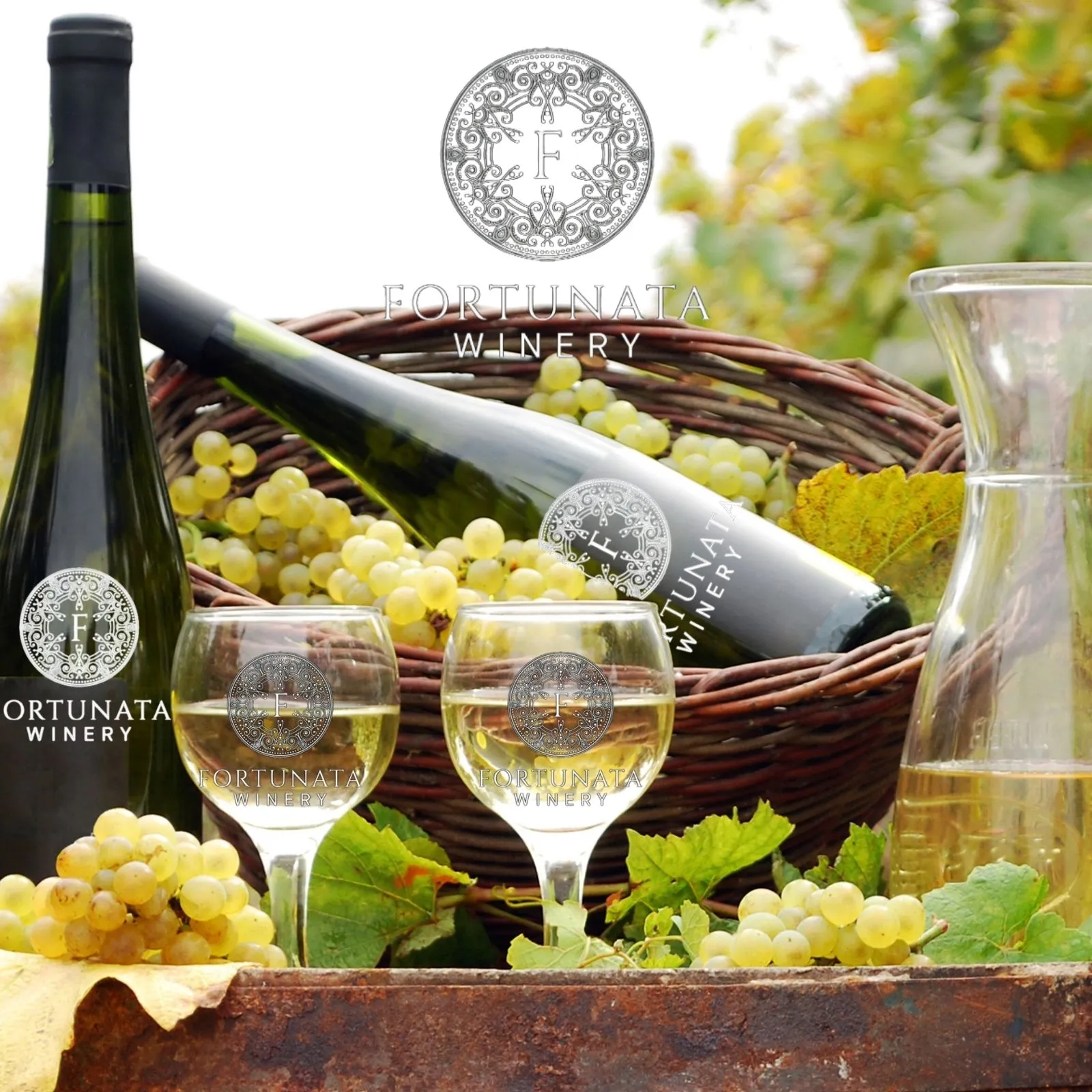 Fortunata-Winery_Mobile_ET