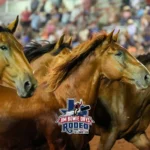 Jim-Bowie-Days-Rodeo_Mobile_ET