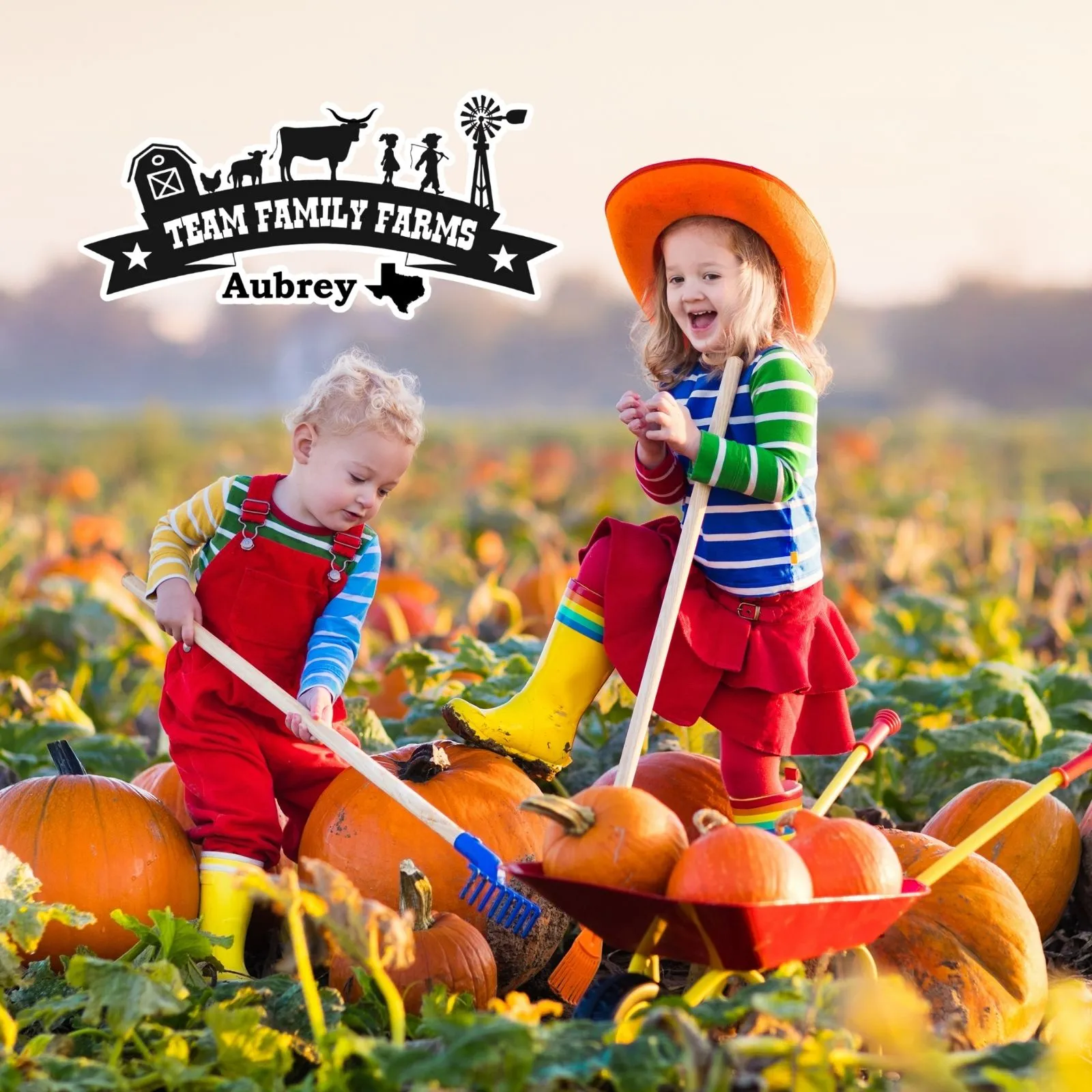 Team-Famiy-Farms_Mobile_ET