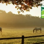 Realtors-Land-Institute_Desktop_ET